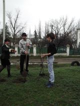 Акция "Посади дерево"